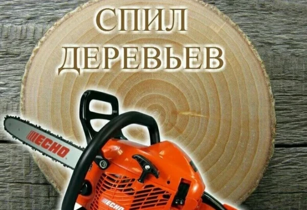 Фото Спил деревьев