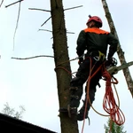 СПИЛ ДЕРЕВЬЕВ ЛЮБОЙ СЛОЖНОСТИ В АЗОВЕ