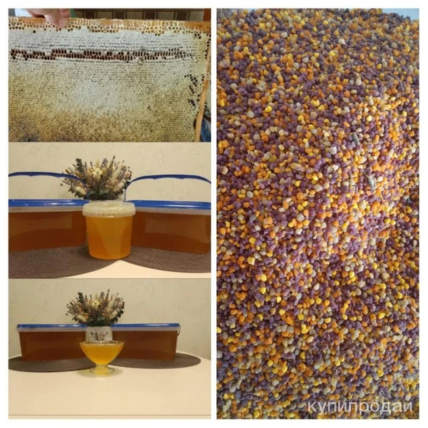 Фото Продаю мëд, цветочную пыльцу.