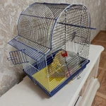 Фото №2 ДОМ-КЛЕТКА для птичек