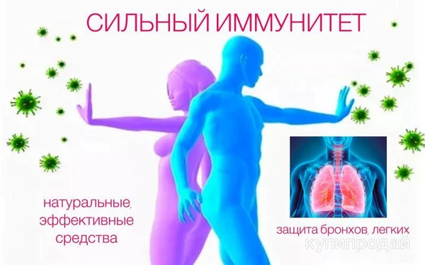 Фото ❗️БЫСТРО ПОМОЧЬ ОРГАНИЗМУ ПОДНЯТЬ ИММУНИТЕТ❗️