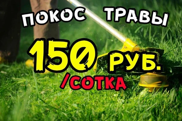 Фото Покос Травы 