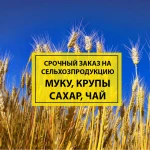 Есть спрос на Сельхозпродукцию. Большой объём. Срочно купим.