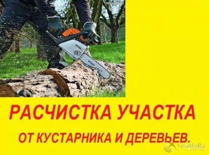 Фото Спиливание деревьев.Обрезка.Вышка.Арборист.