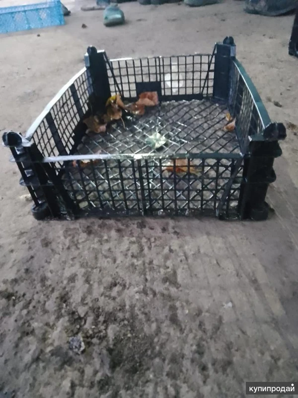 Фото Ящики фруктовые