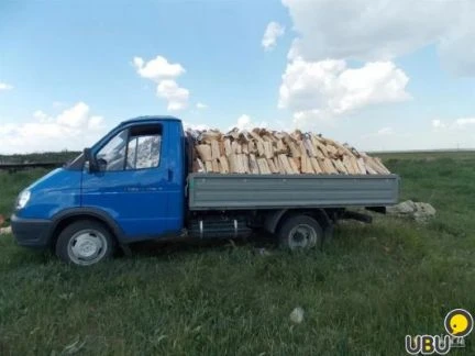 Фото Дрова березы.доставка на газели