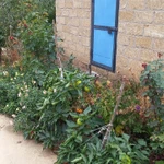 Фото №3 продаётся Дом 93 м2