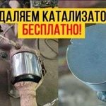 Бесплатное удаление катализатора