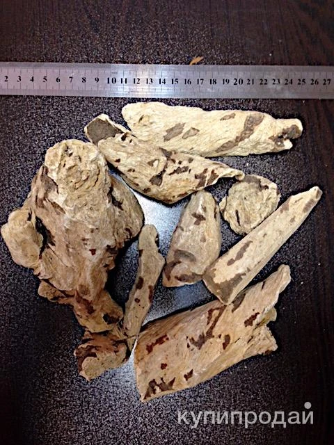 Фото Мыльный корень