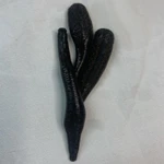 Фото №3 Пиявки медицинские Сертифицированные.