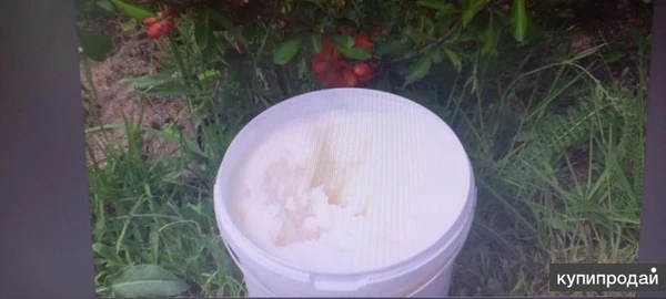 Фото Кокосовое масло пищевое -2.5 кг.(ведро)