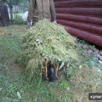 Фото №5 Покос Травы, Бурьяна, Сухостоя