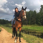 Конные Прогулки в Иваново 