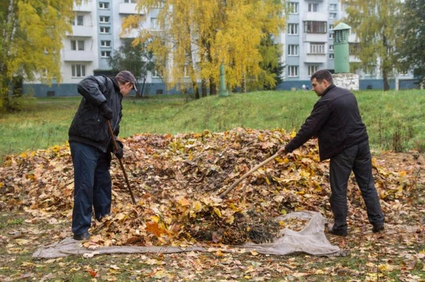 Фото Уборка территории 24 час в сутки срочно