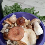 Фото №7 Грибочки свежие на заказ