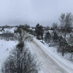 Фото №7 ВАЛКА СПИЛ ДЕРЕВЬЕВ. РАСЧИСТКА УЧАСТКОВ. В УСЛОВИЯХ ОГРАНИЧЕННОГО ПРОСТРАНСТВА.