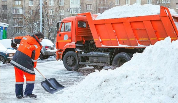 Фото Уборка и вывоз снега