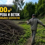 фото 300 м³ древесины и веток бесплатно. Самовывоз