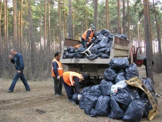 Фото Вывоз мусора недорого