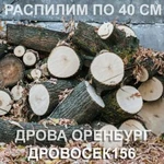 Дрова пеньки неколотые 2кб, вяз или клён с достав