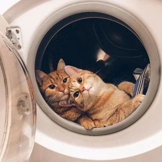 Фото Ремонт стиральных/посудомоечных машин