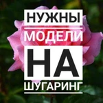 Модели для ШУГАРИНГА