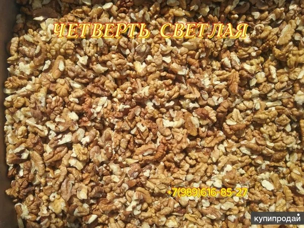 Фото Орех грецкий,орехи чищенные