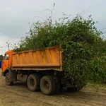Вывоз мусора и деревьев в Пензе