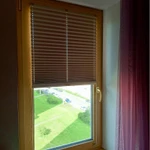 Фото №3 Шторы плиссе в СПб