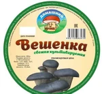 фото Вешенки