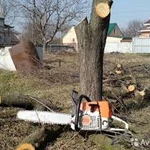 Фото №4 Заливка бетона, земляные работы, уборка
