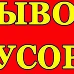 Уборка и очистка мусора. Вывоз мусора