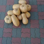 фото Продам тыкву.