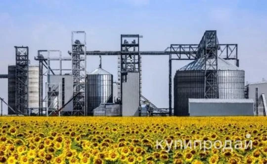 Фото Растительное масло нерафинированного птом