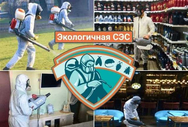 Фото Обработка от клопов, клещей, кротов, ос Коломна