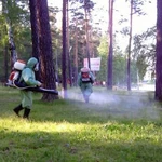 Фото №4 Дератизация/дезинфекция/дезинсекция