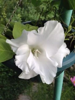 Фото Уборка квартир