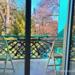 Фото №11 Сдам 1-к квартиру в парке