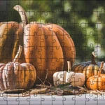 фото продам тыкву