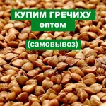 фото Куплю гречку оптом, самовывоз