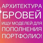 Архитектура бровей