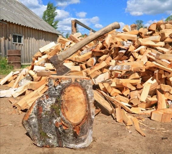 Фото Дрова березовые