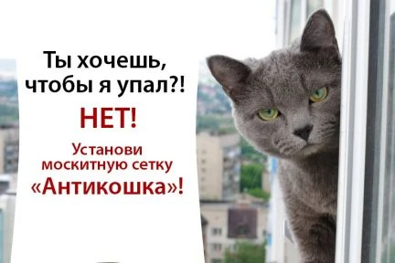Фото Сетка Антикошка