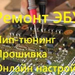 Ремонт эбу,Прошивка,Чип-тюнинг,Удаление SRS.евро 2