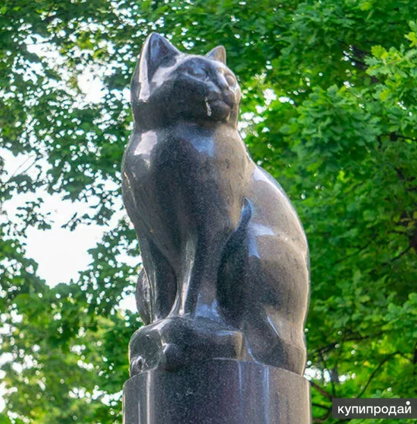 Фото Кремация кошки