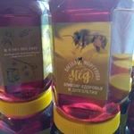 Фото №4 Пасека моргунова