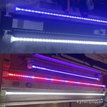 Фото №7 Крышки для аквариума Jebo.