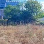 Участок видовой, отлично расположен. Прямоугольник 42.5 х 19 метров, ровный.