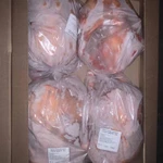 Фото №4 Маточник 3-3,5кг+