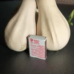 Фото №2 Тыква декоративная